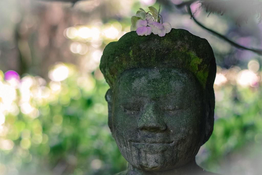 Pathways to Peace Recommendations for Harmonizing Contentment and Drive