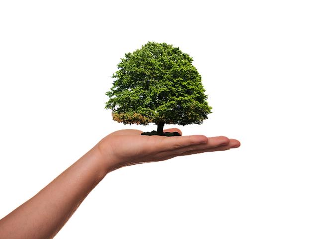 Developing Compassionate Self-Awareness Practices