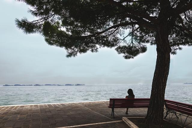 Integrating Silent Meditation into Daily Life