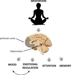 Balancing Serenity ‌and Safety‌ Exploring the Need ⁢for Regulation⁤ in Meditation Therapy