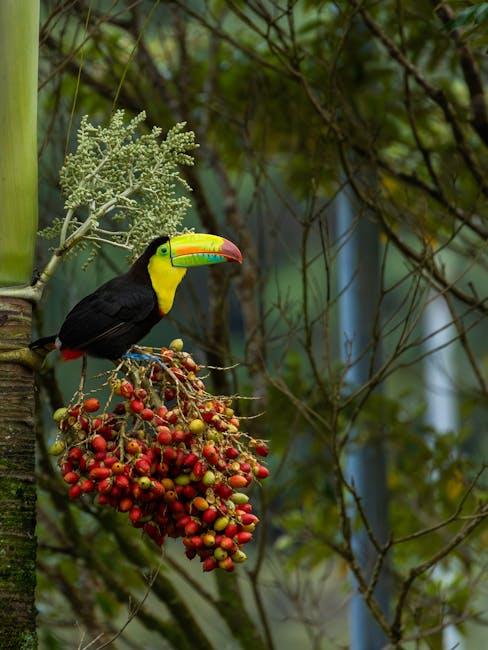 The Art of ‌Observation: Discovering Natures Subtle Wonders