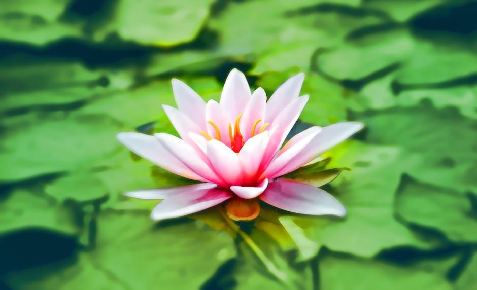 Exploring the Shadows: When Meditation ⁣Unveils Unsettling Emotions