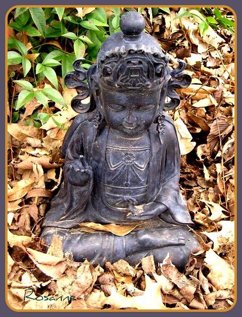 Strategies for Preserving Meditations Essence Amid Market Trends