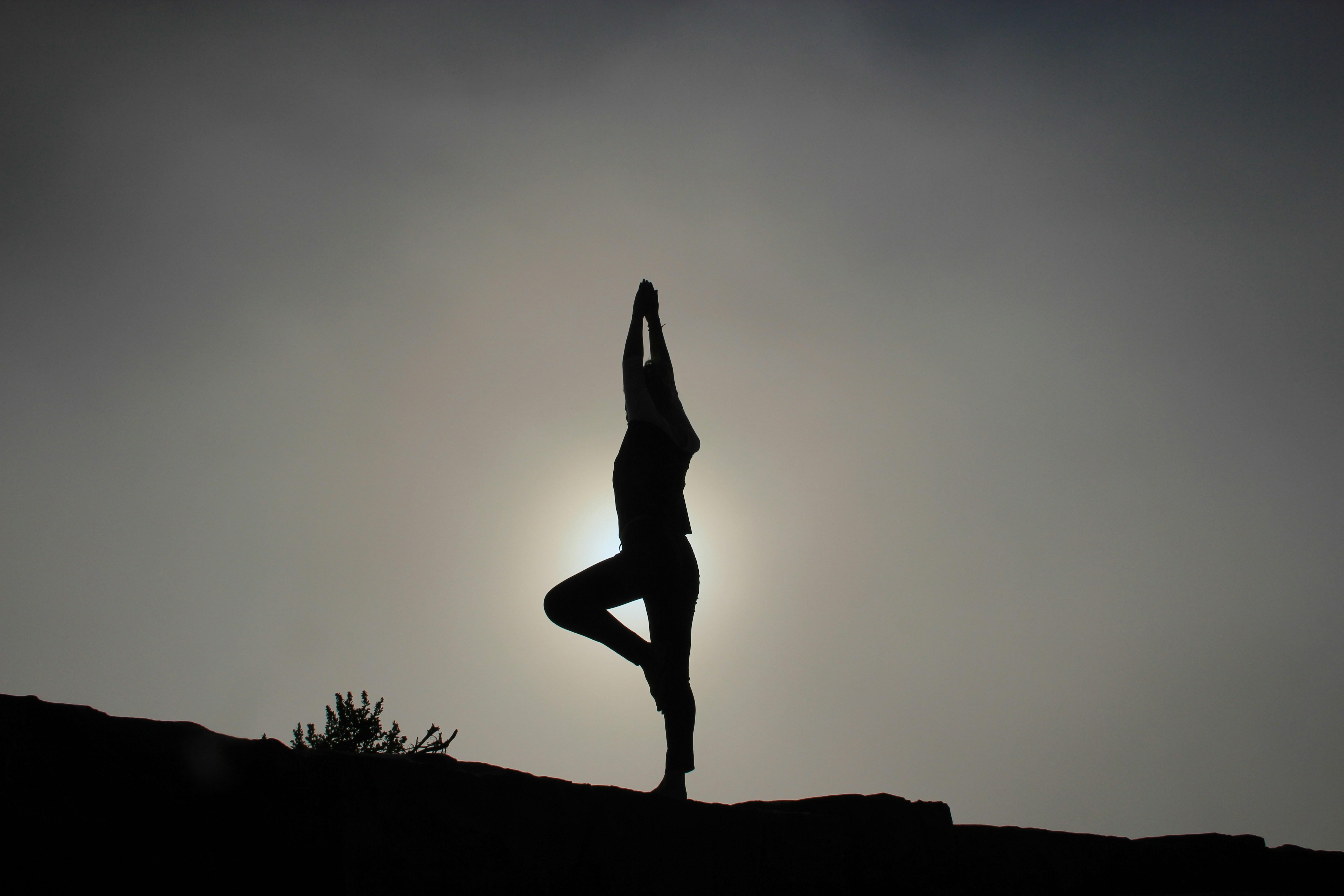 Yogas Evolution from Spiritual Roots to Global Enterprise