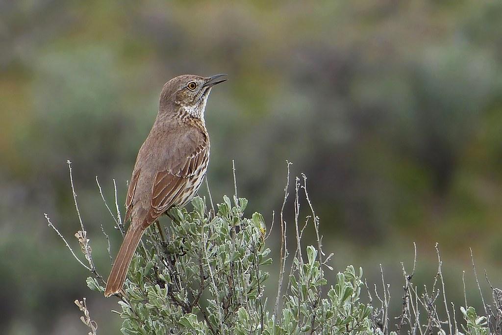 Cultivating Mindfulness:‌ Techniques for Every Belief System