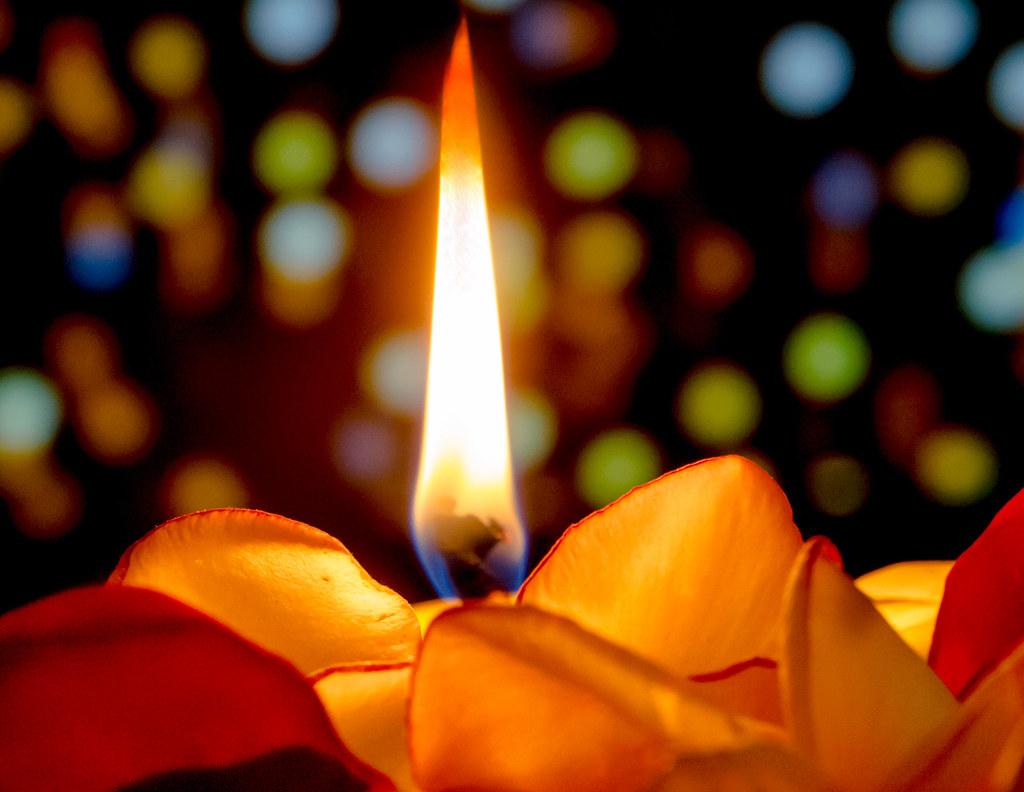 Integrating Daily Meditation into Your Routine