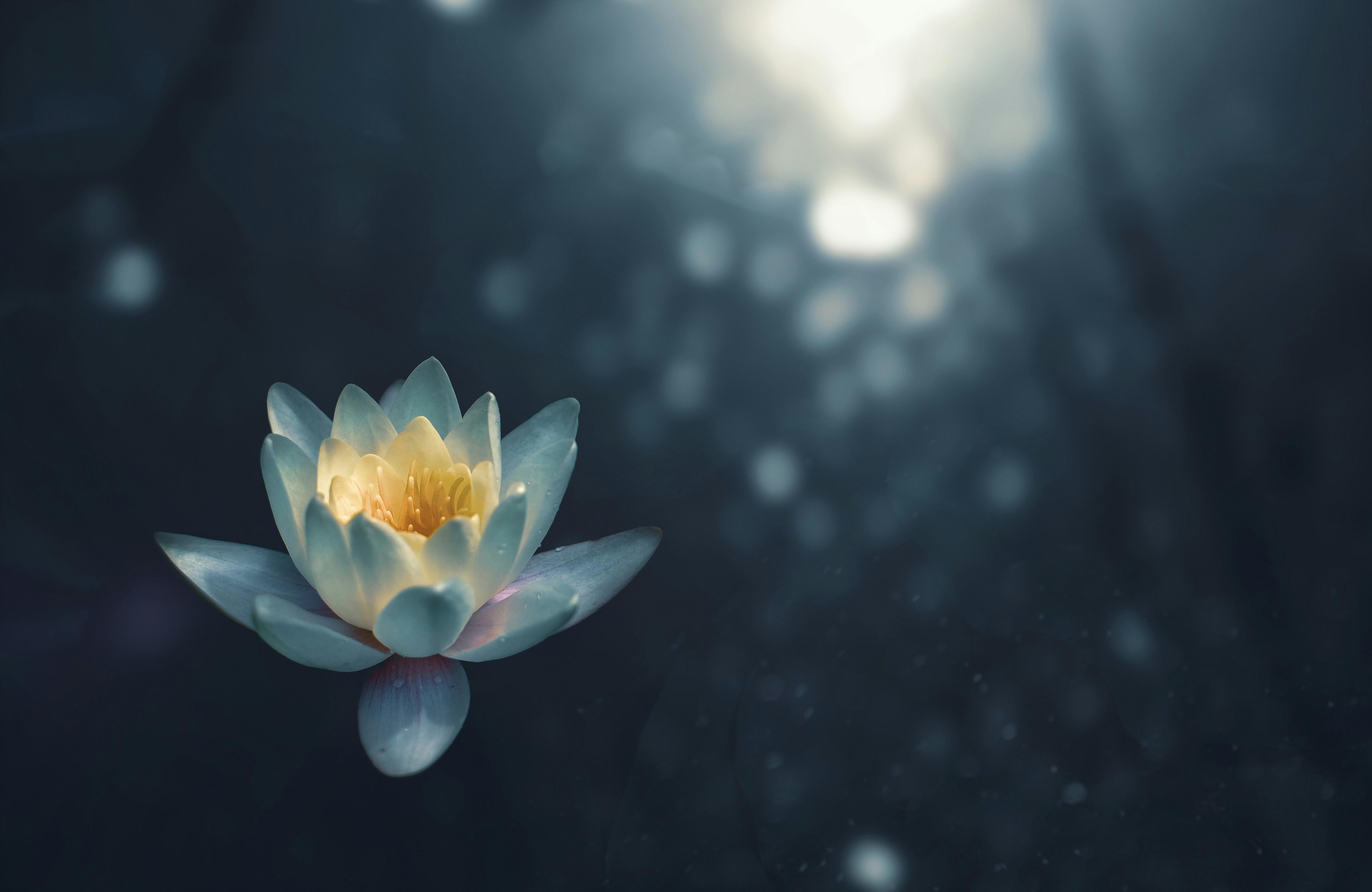 Integrating Meditation into Daily Life: Practical Tips for Lasting Benefits